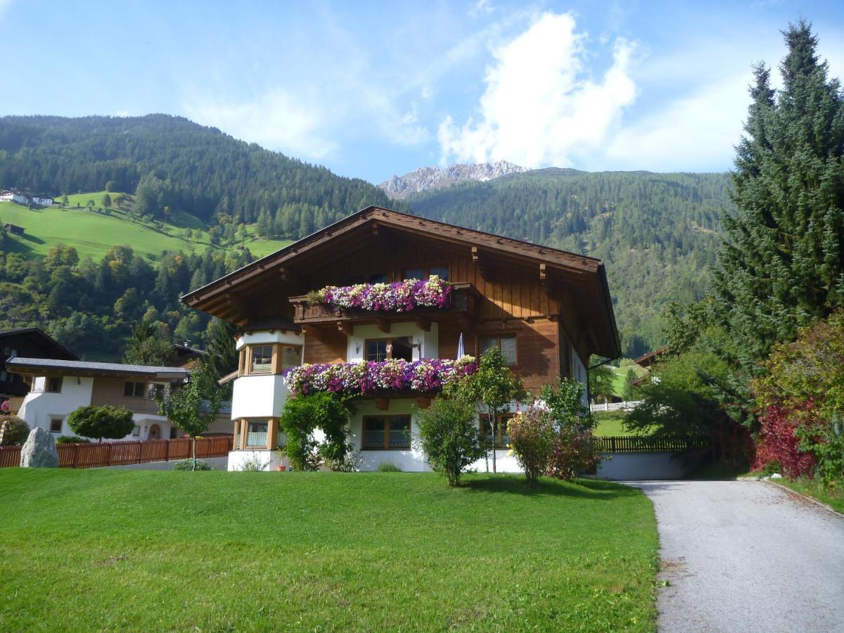 Haus Salchner Apartment Neustift im Stubaital Bagian luar foto
